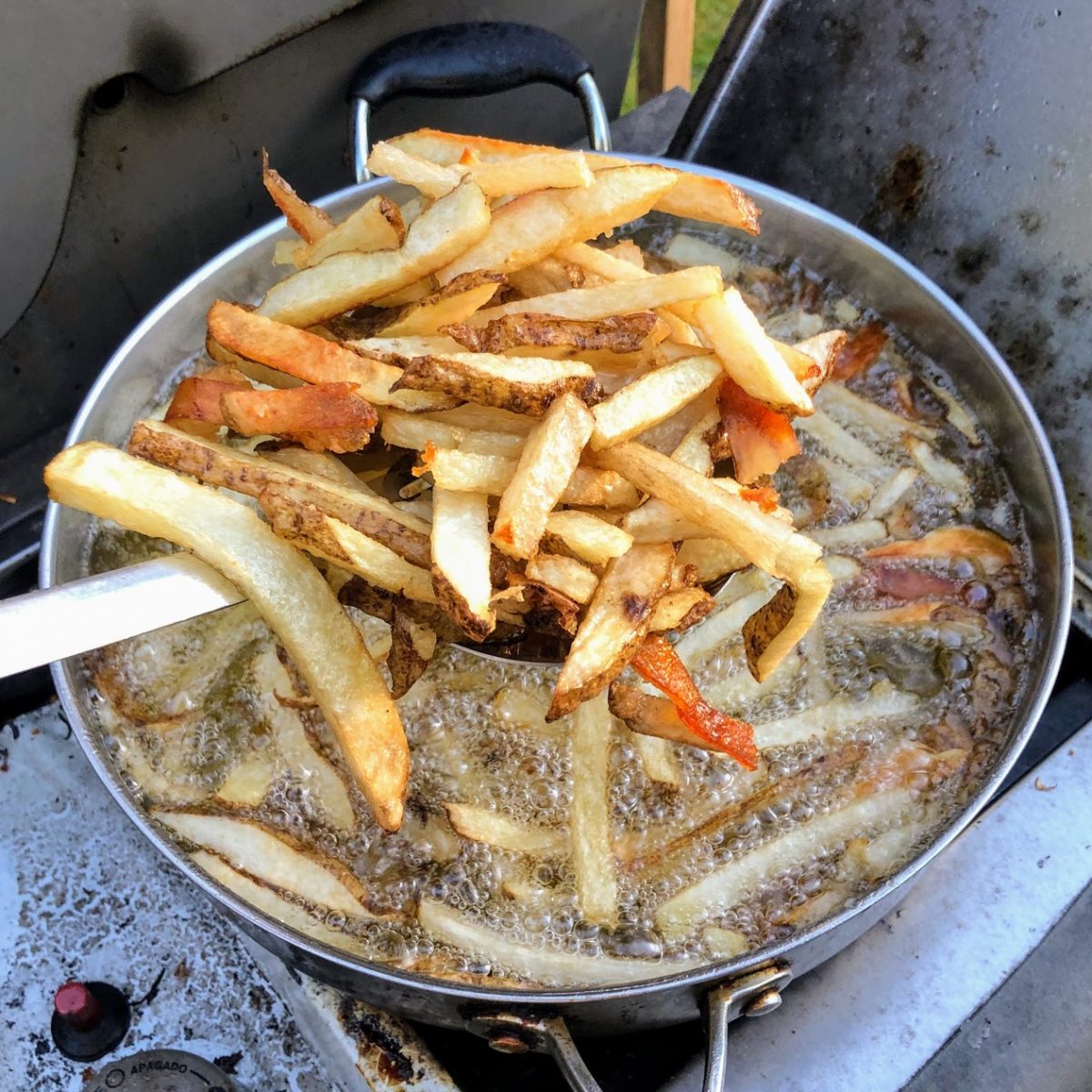 homemade handcut fries